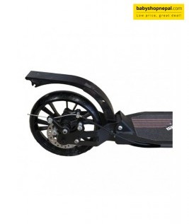 Rear Disc Brake