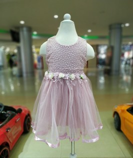 Pink Net Frock -1